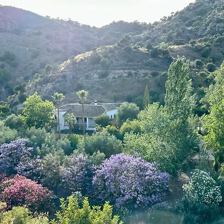 Authentic Luxury In Oasis With Pool Close To Malaga Villa