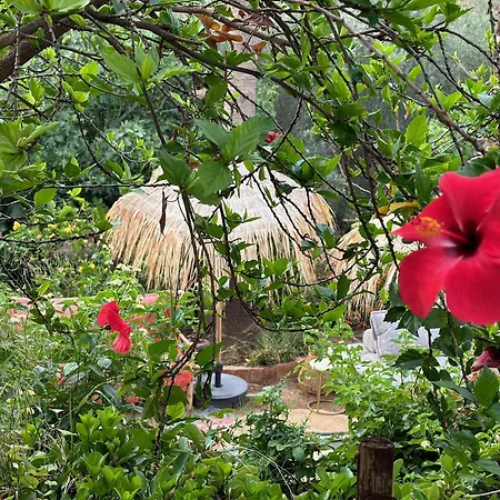 빌라 Authentic Luxury In Oasis With Pool Close To Malaga *